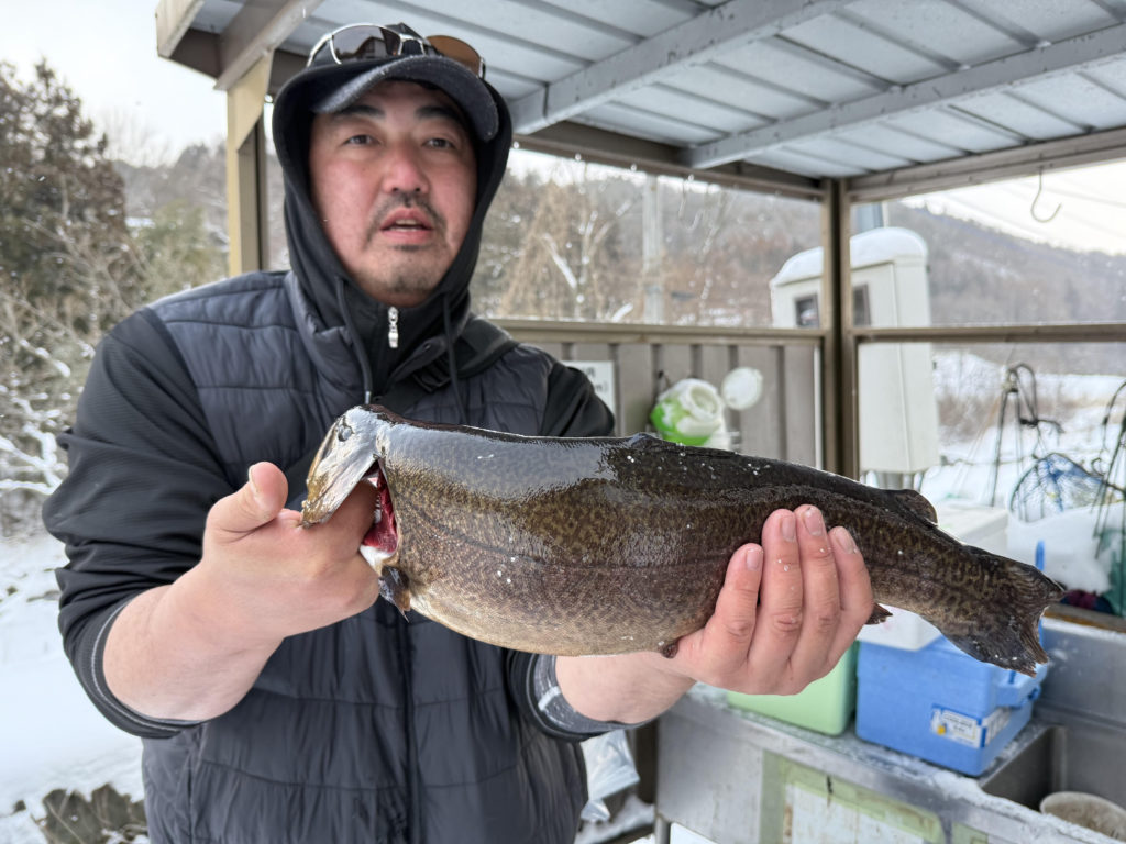 【驚ロック５０ｃｍ】全体