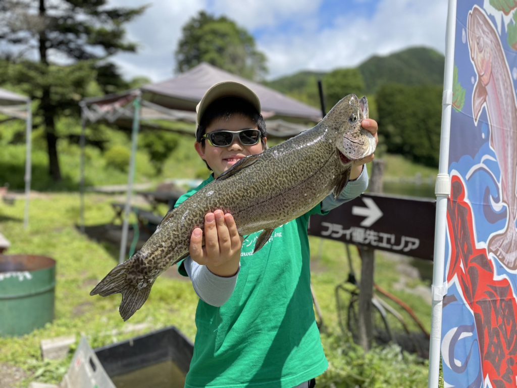 【驚ロック５２ｃｍ】全体