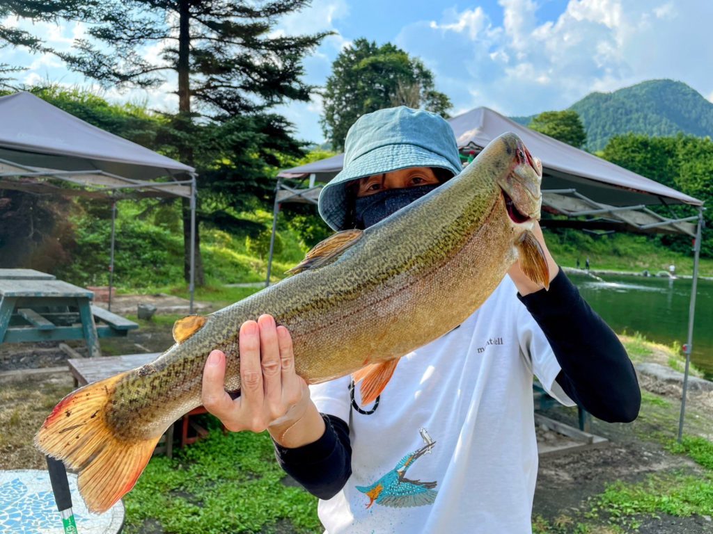 【驚ロック５７ｃｍ】全体