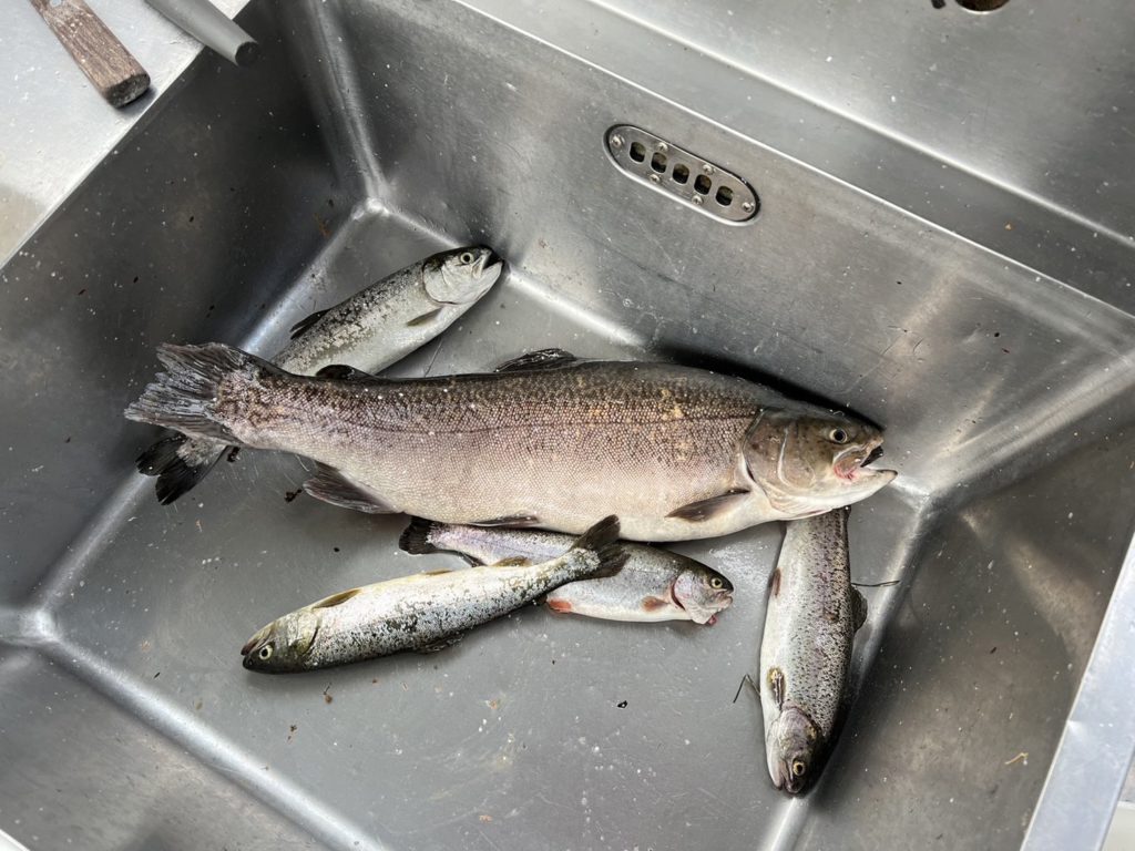 【驚ロック６０ｃｍ】全体