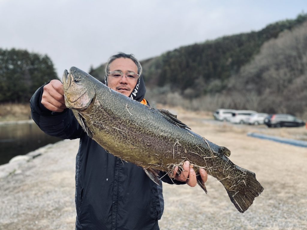 【驚ロック６８ｃｍ】全体