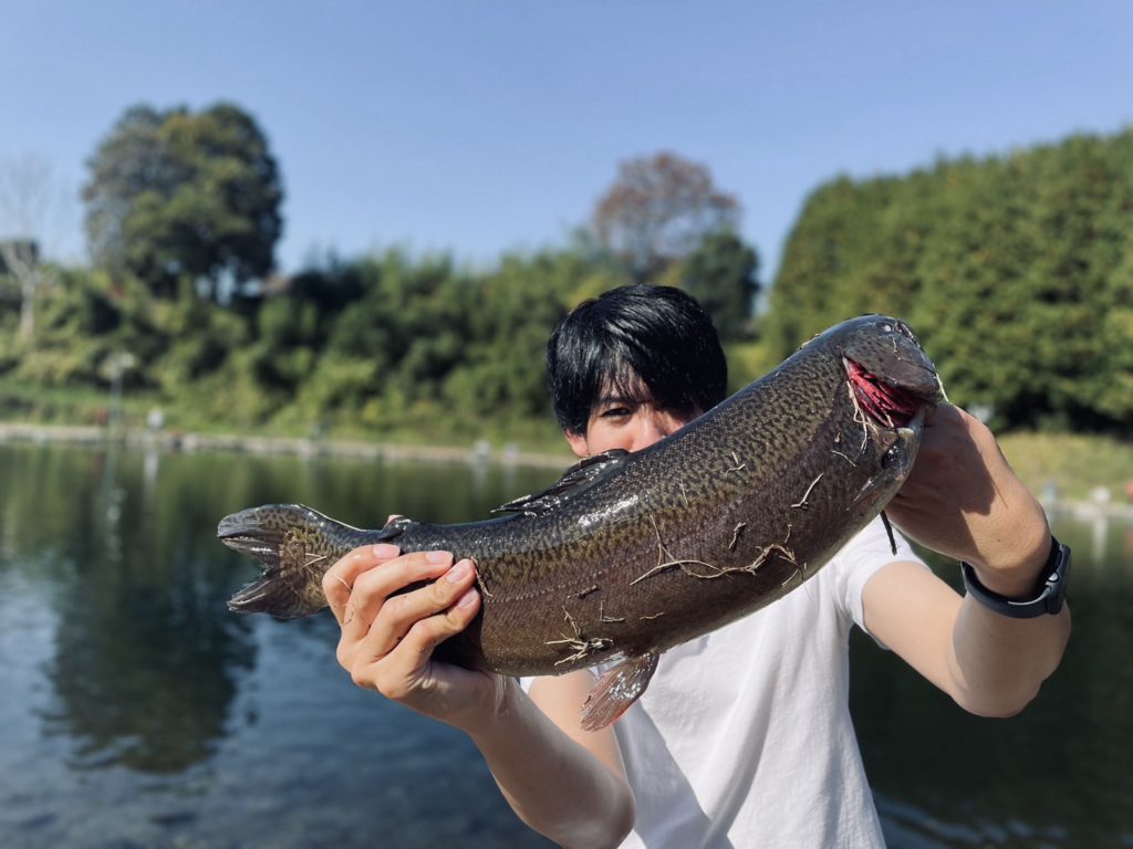 【驚ロック５７ｃｍ】全体