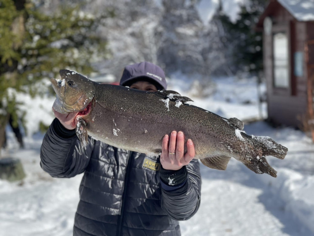 【驚ロック７４ｃｍ】全体