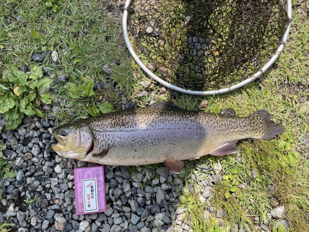 【驚ロック５２ｃｍ】全体