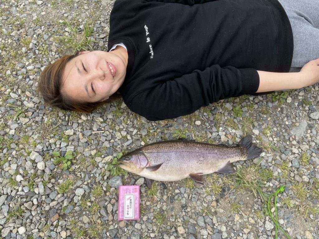 【驚ロック５１ｃｍ】全体