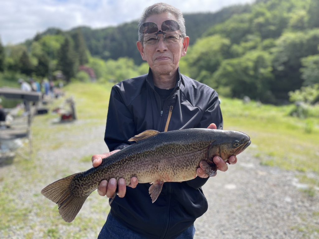 【驚ロック５３ｃｍ】全体