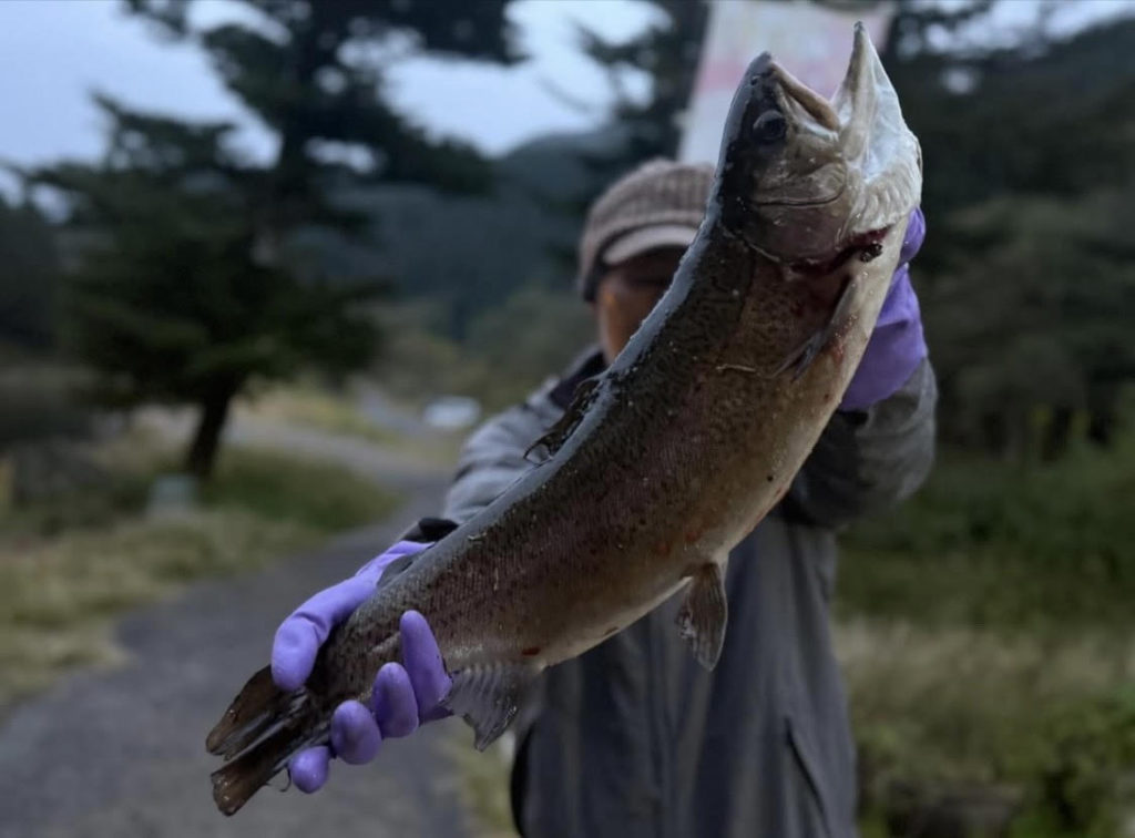 【驚ロック５４ｃｍ】全体