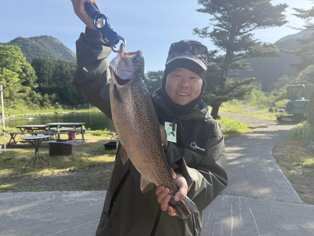 【驚ロック５２ｃｍ】全体