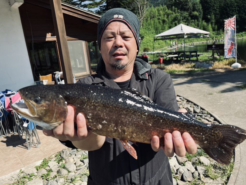 【驚ロック５０ｃｍ】全体