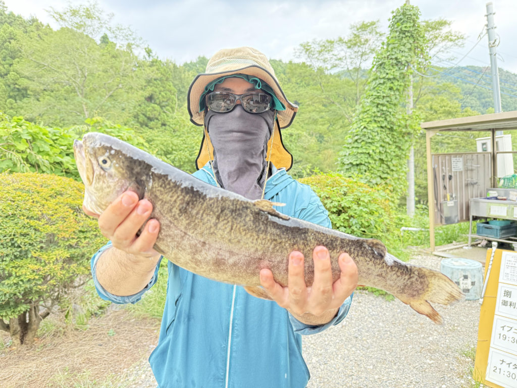 【驚ロック５３ｃｍ】全体