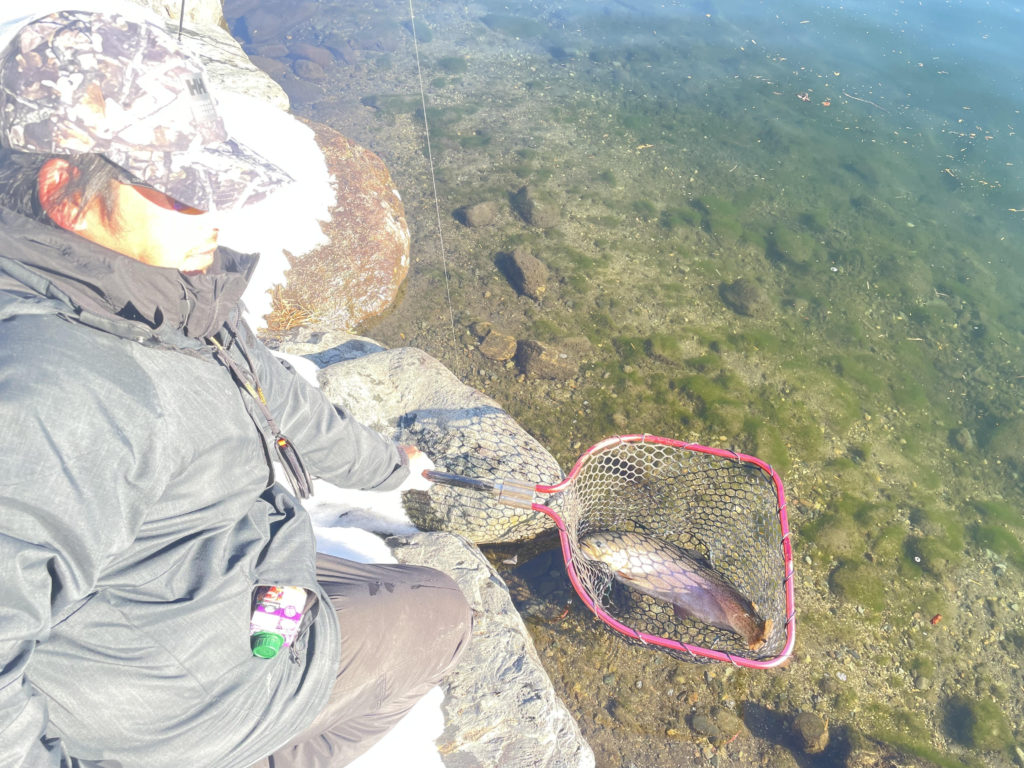 【驚ロック５５ｃｍ】全体