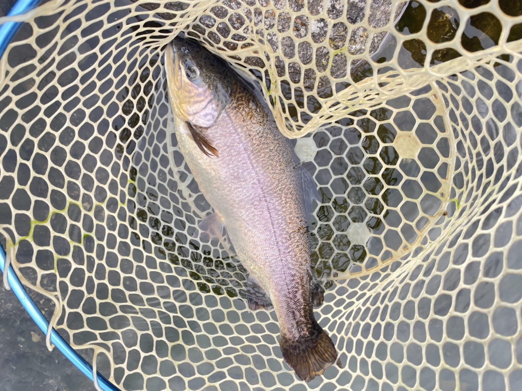 【驚ロック５２ｃｍ】全体