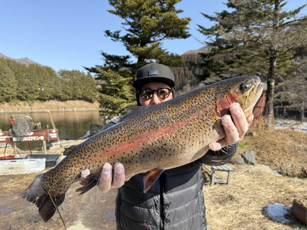 【頂鱒６０ｃｍ】全体