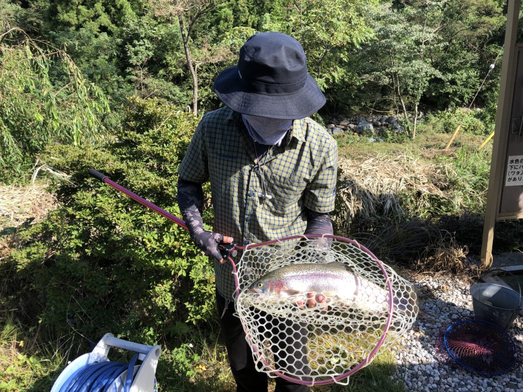 【頂鱒５０ｃｍ】全体