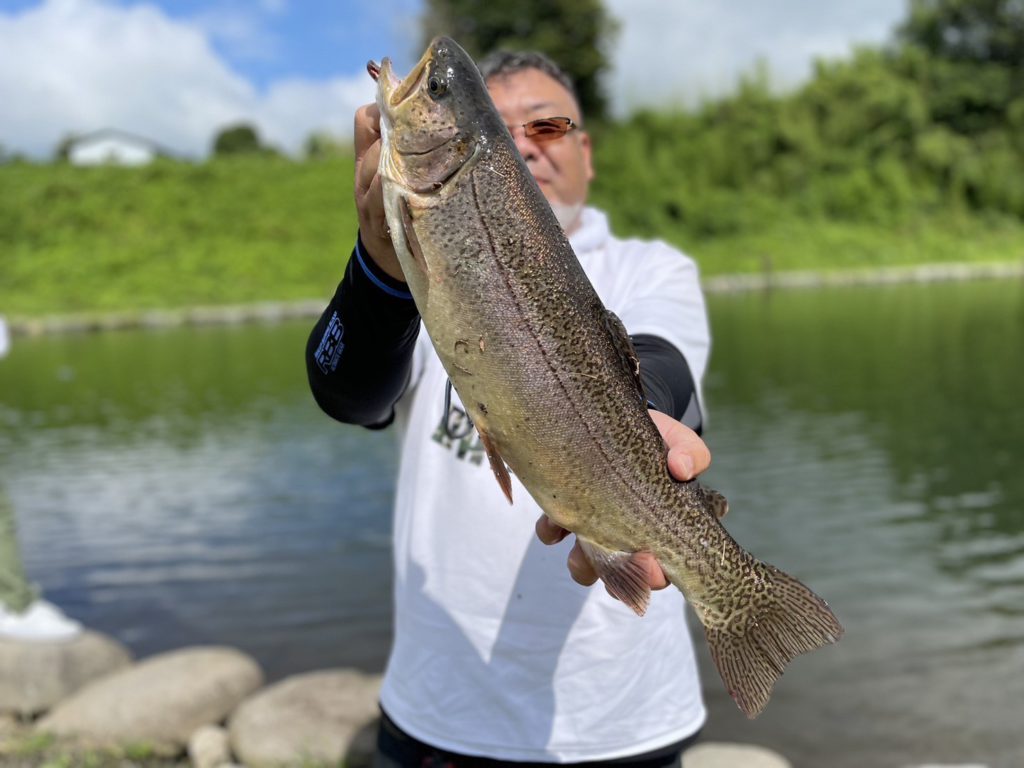 【驚ロック５３ｃｍ】全体