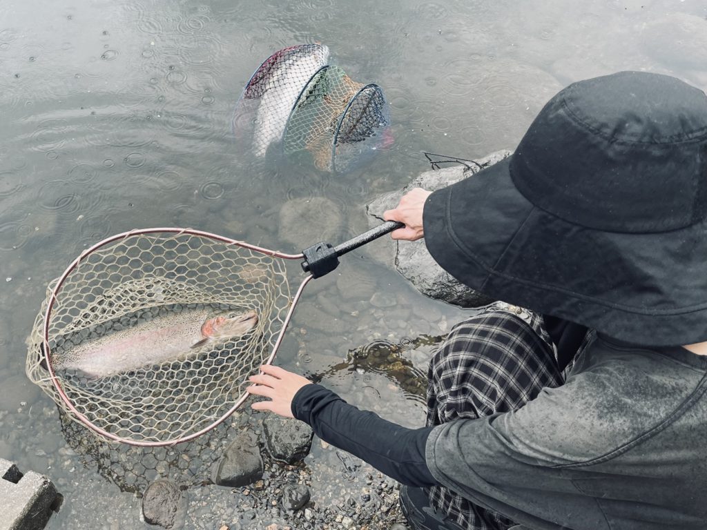 【頂鱒５８ｃｍ】全体