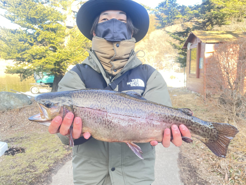 【驚ロック５２ｃｍ】全体