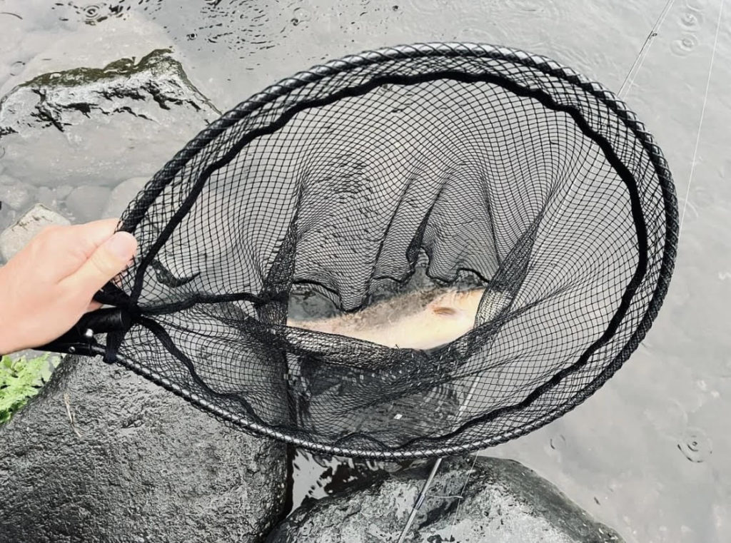 【驚ロック５３ｃｍ】全体