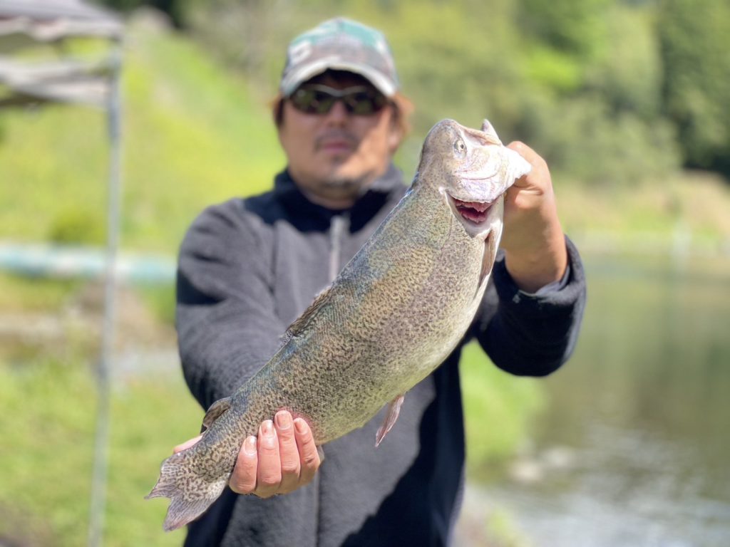 【驚ロック６０ｃｍ】全体