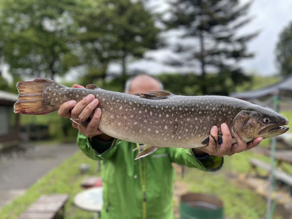 【大岩魚６７ｃｍ】全体