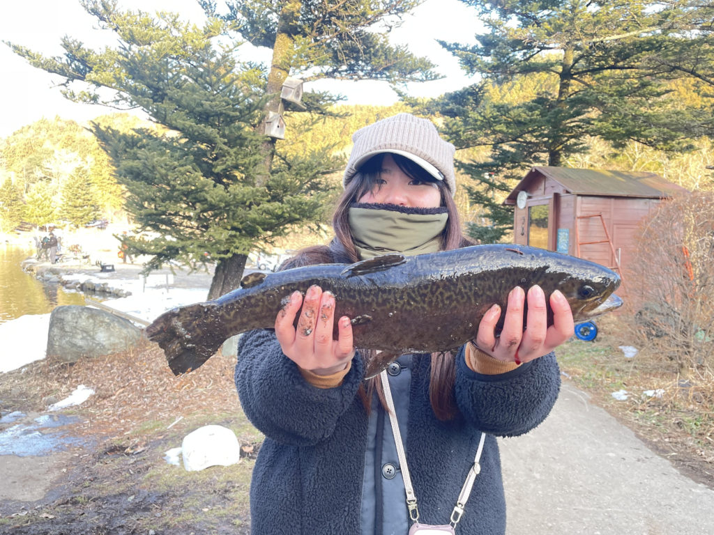 【驚ロック５１ｃｍ】全体