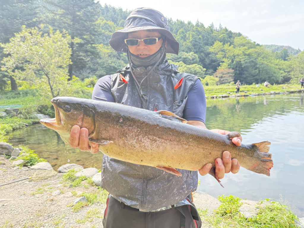 【驚ロック６２ｃｍ】全体