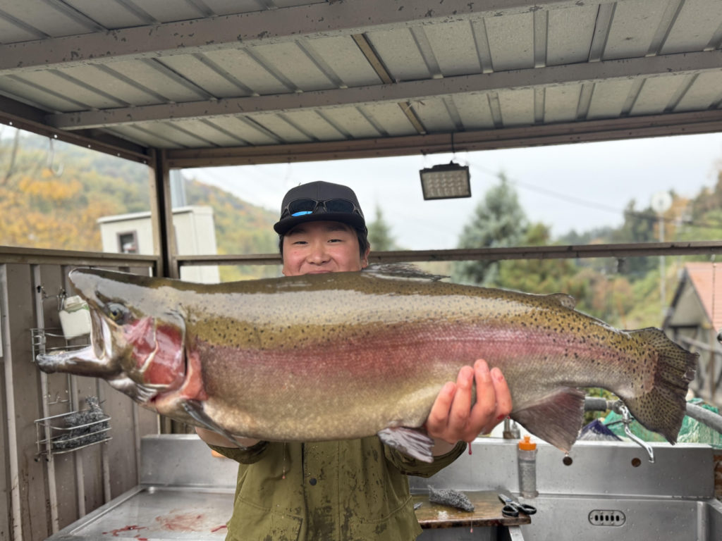 【頂鱒８２ｃｍ】全体