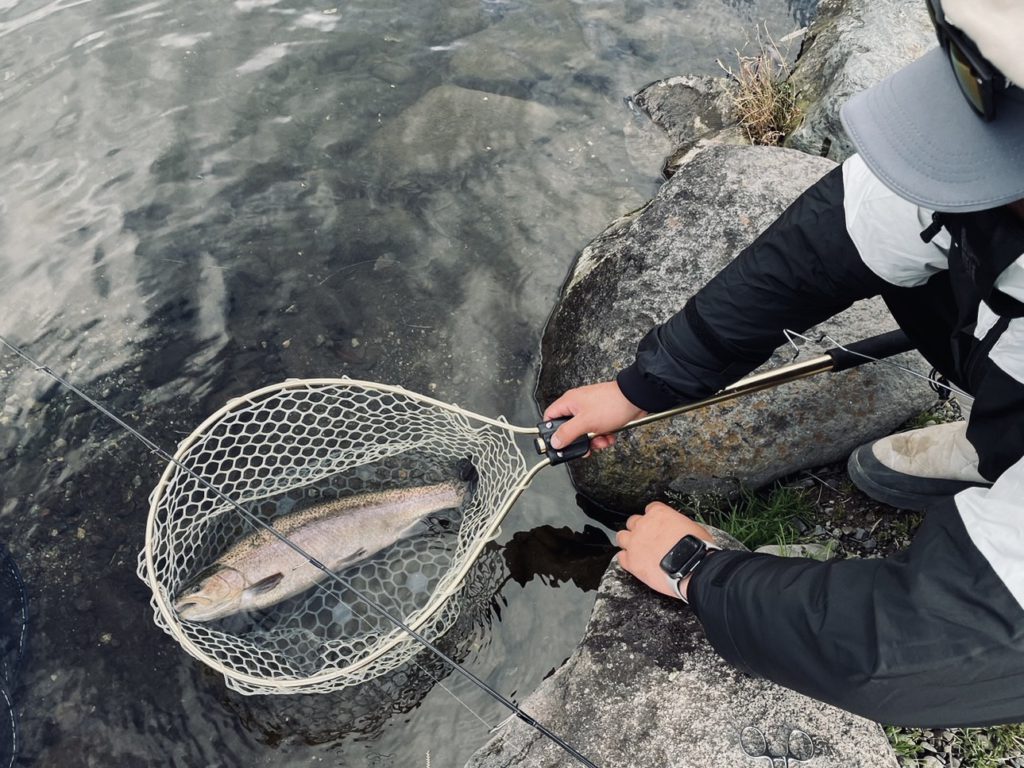 【驚ロック５６ｃｍ】全体