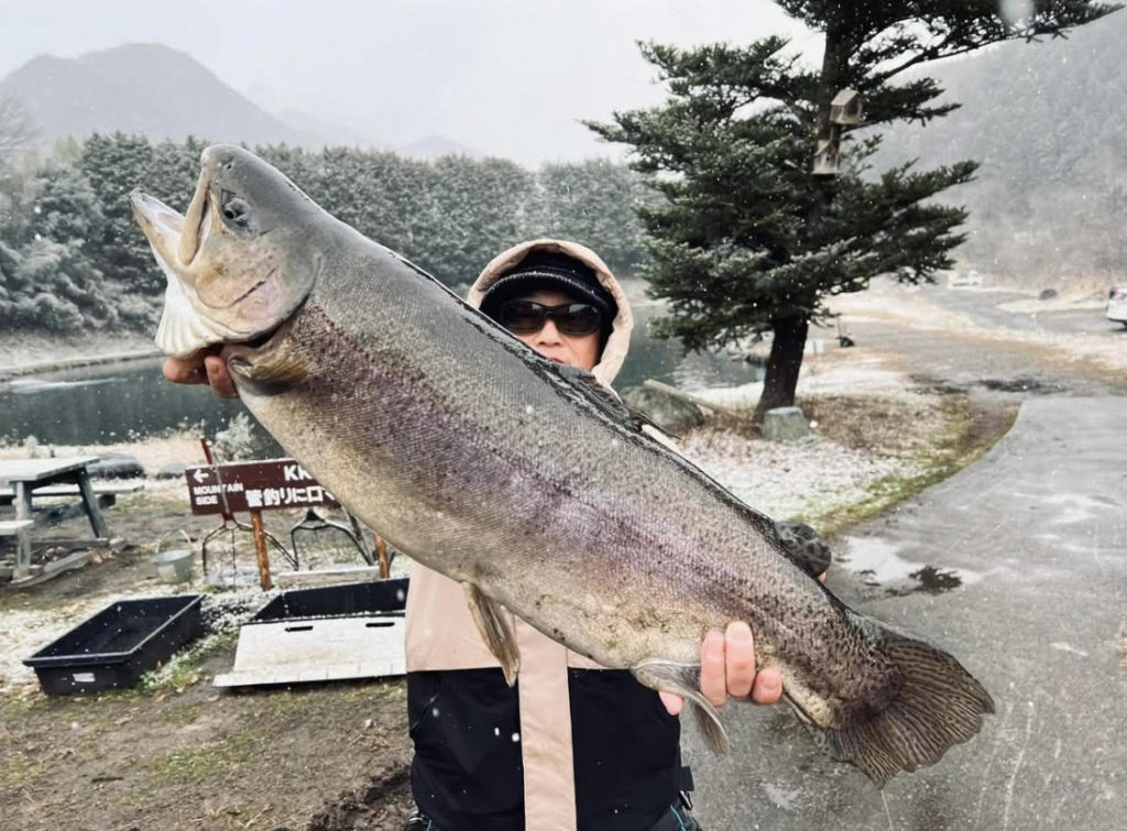 【驚ロック７８ｃｍ】全体