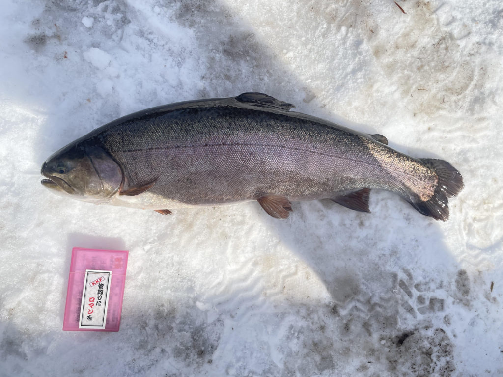 【驚ロック５２ｃｍ】全体