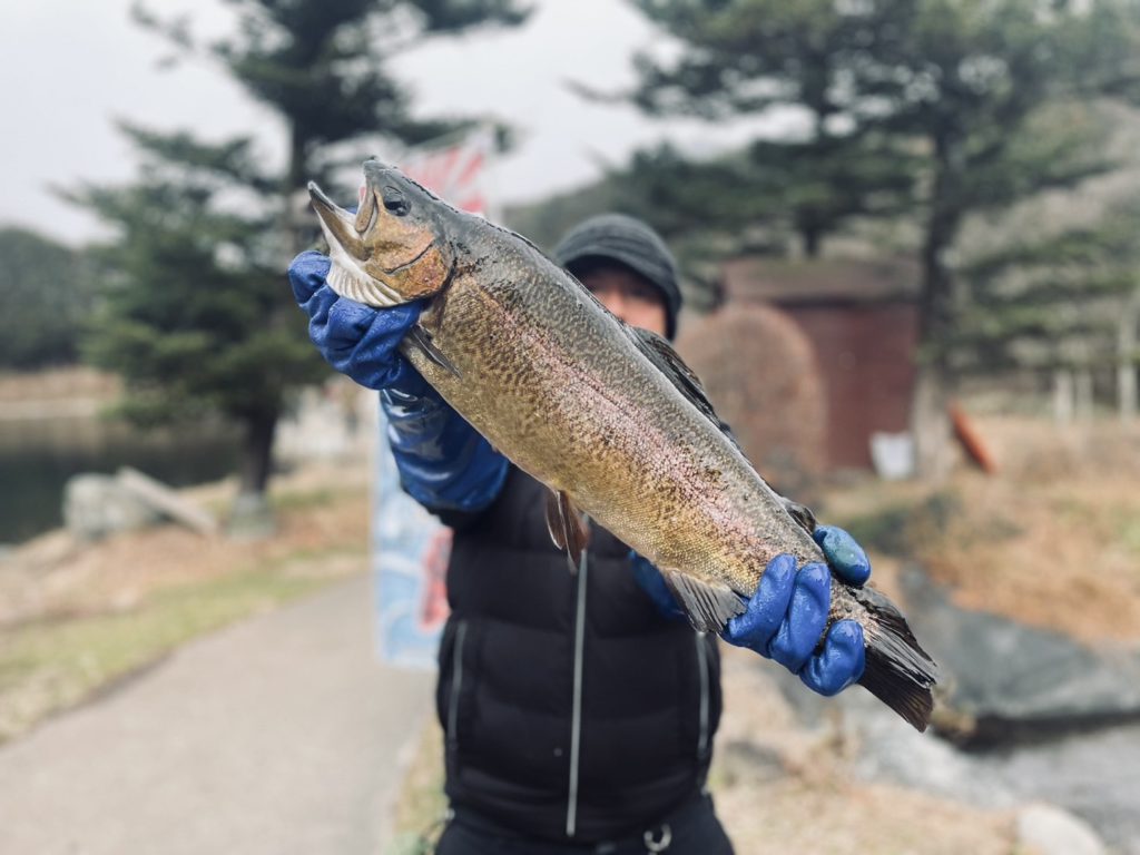 【驚ロック５７ｃｍ】全体