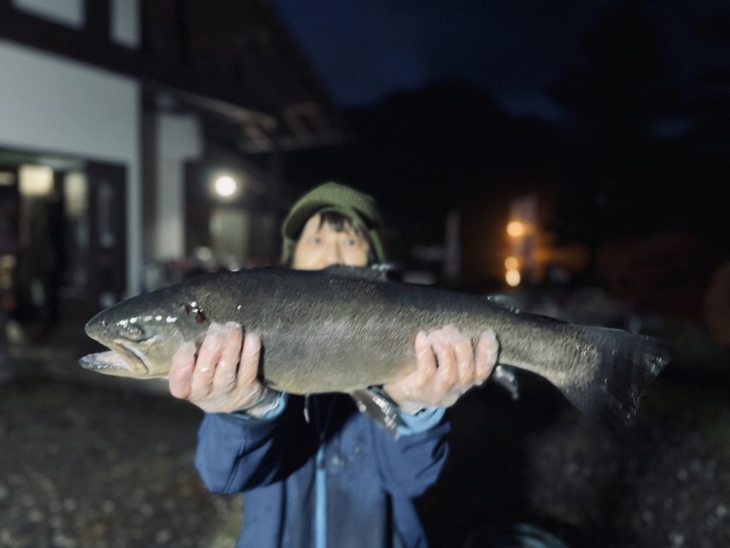 【驚ロック６０ｃｍ】全体