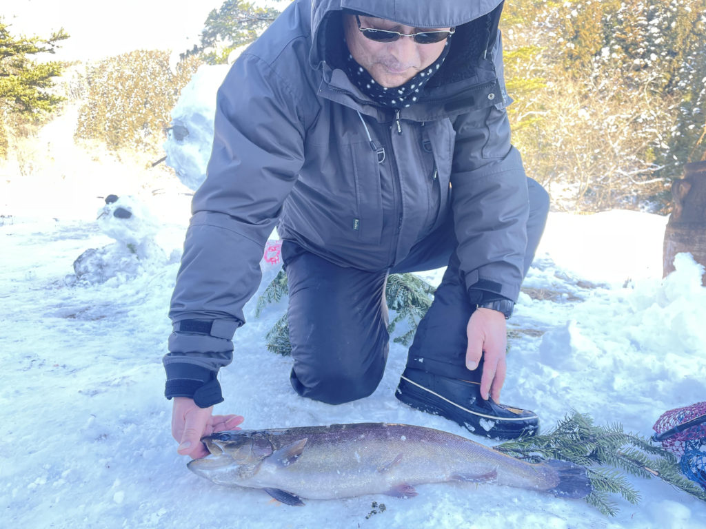 【驚ロック５９ｃｍ】全体