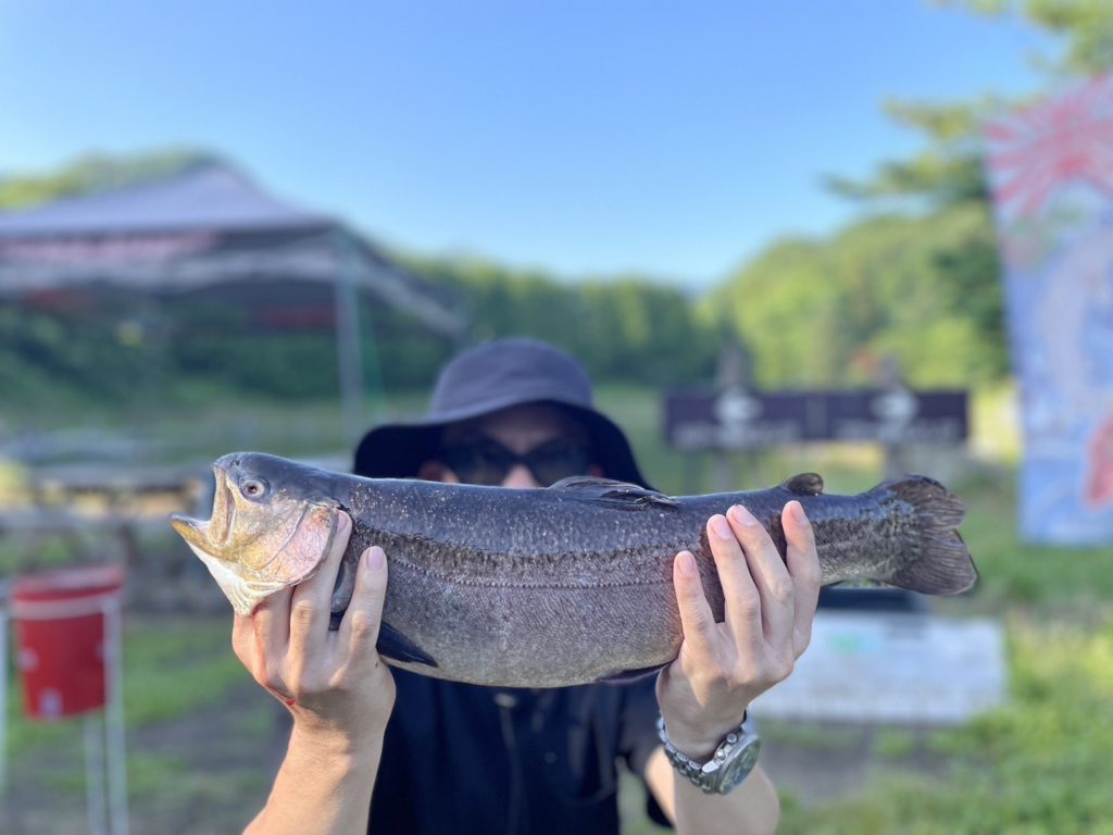 【驚ロック５０ｃｍ】全体