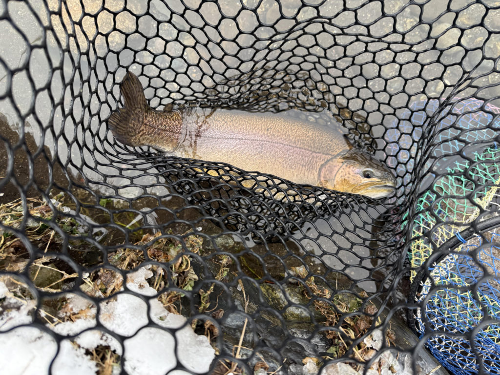 【驚ロック５２ｃｍ】全体