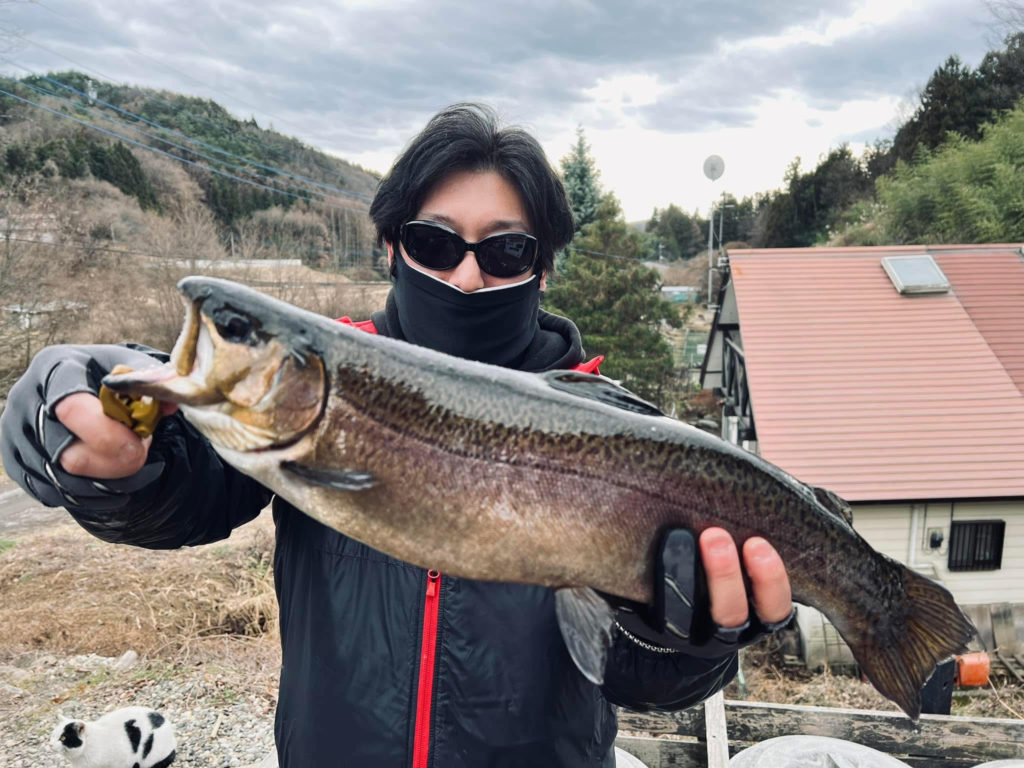 【驚ロック５０ｃｍ】全体