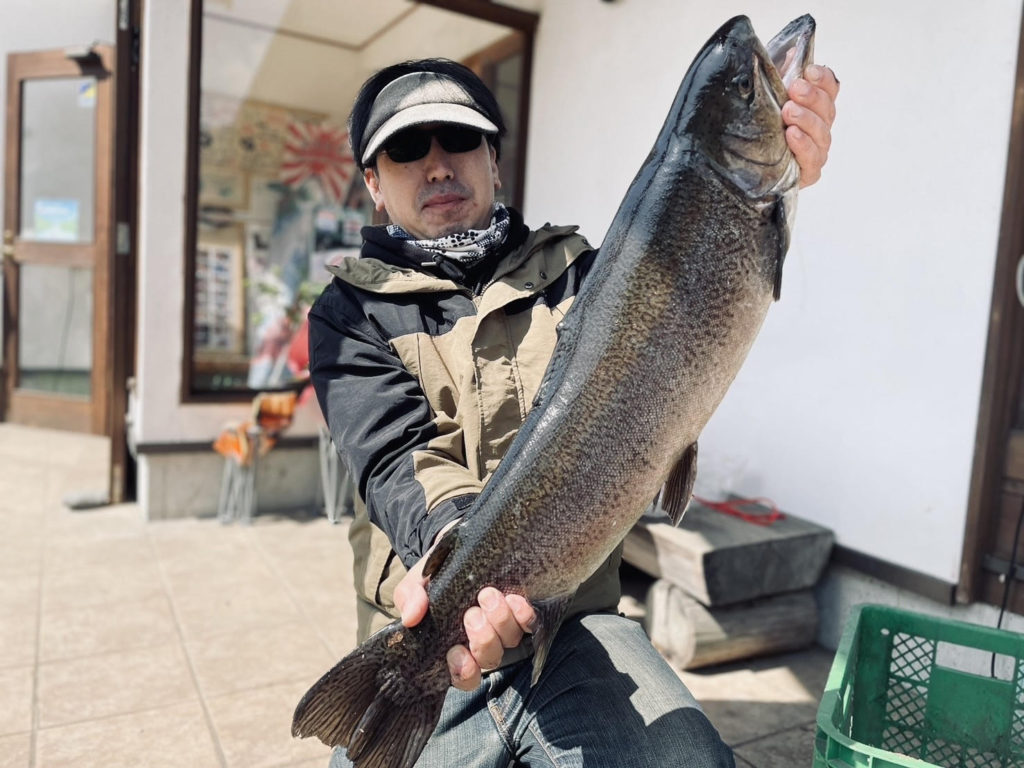 【驚ロック７３ｃｍ】全体