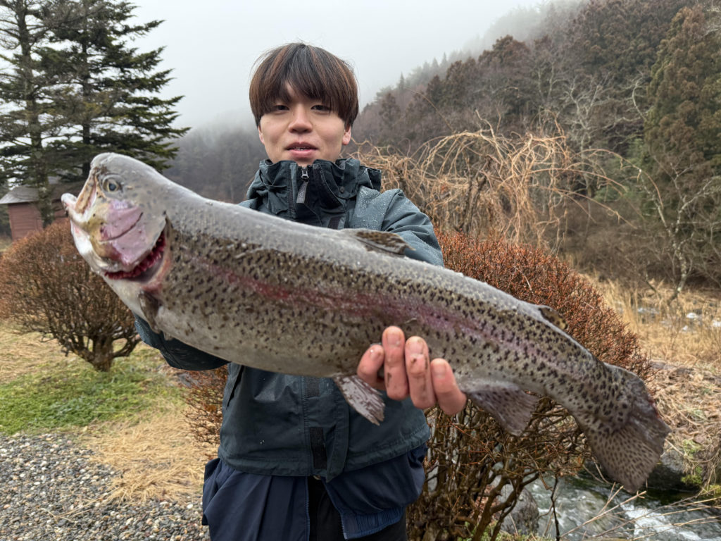 【頂鱒５６ｃｍ】全体