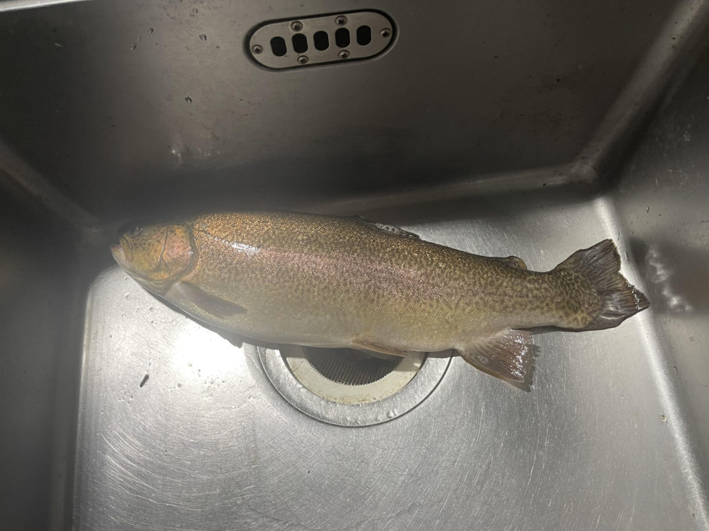 【驚ロック５３ｃｍ】全体