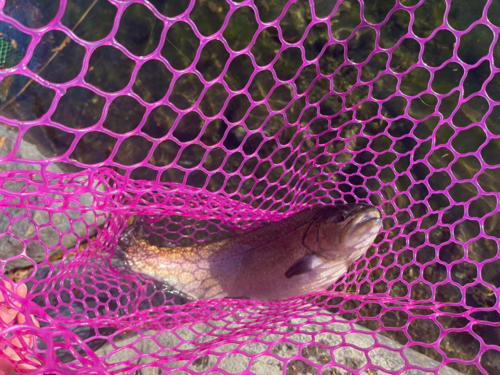 【驚ロック５５ｃｍ】全体