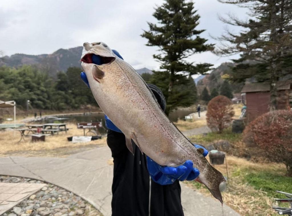 【驚ロック６２ｃｍ】全体