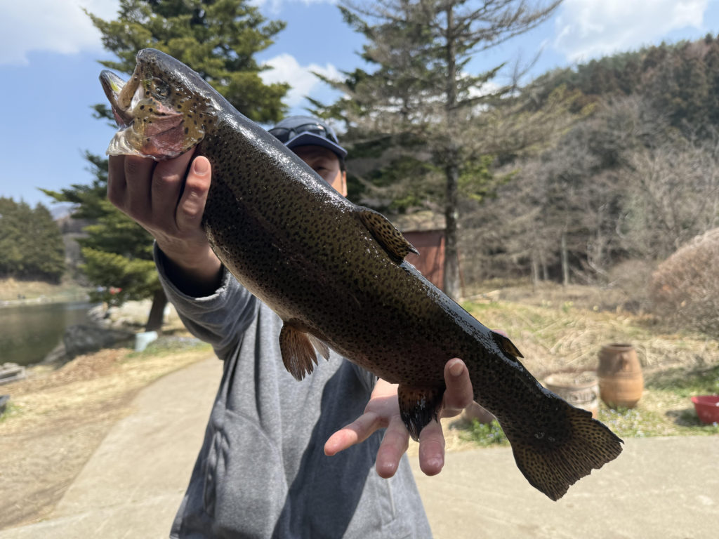 【頂鱒５６ｃｍ】全体