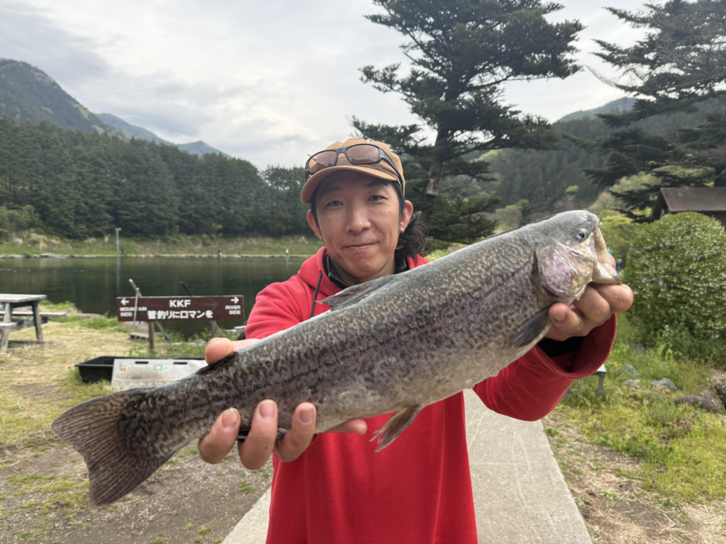 【驚ロック５５ｃｍ】全体