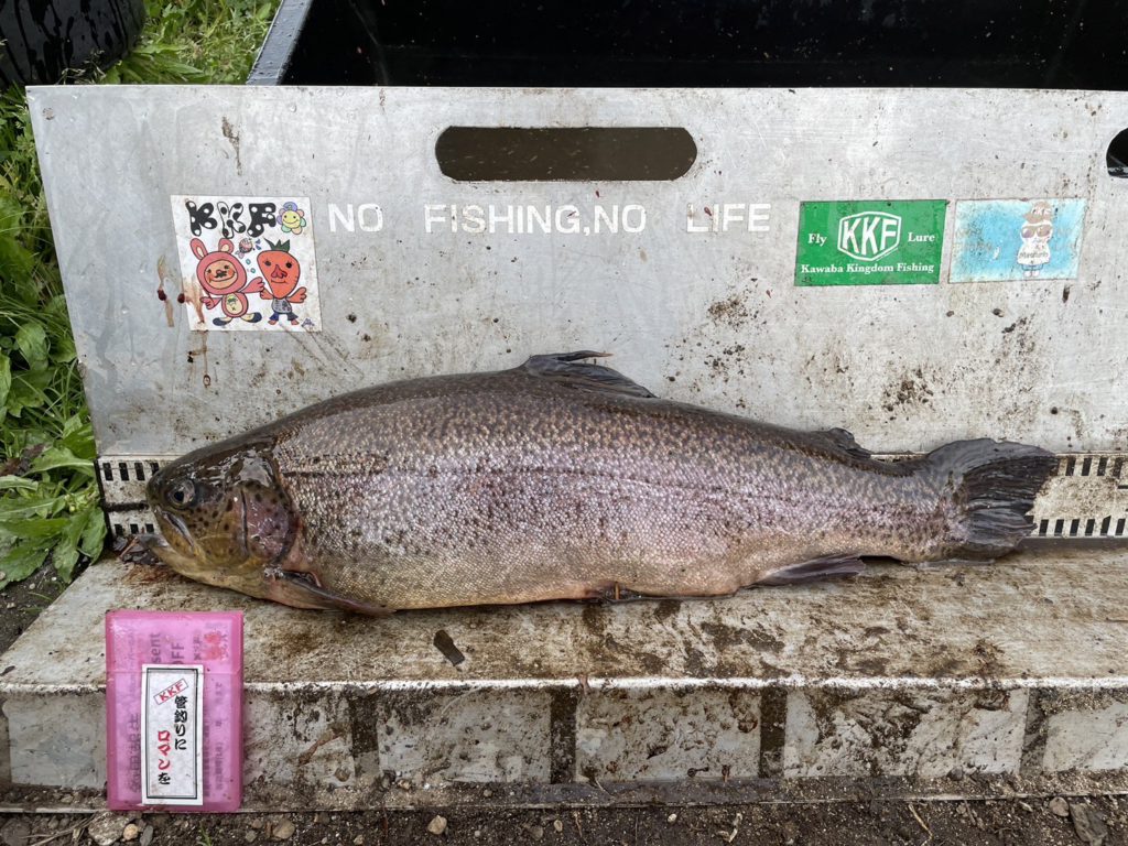 【驚ロック５８ｃｍ】全体