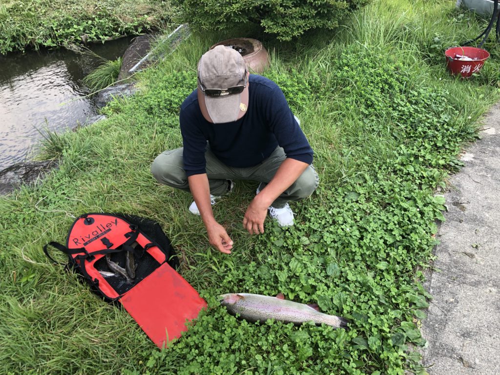 【頂鱒５５ｃｍ】全体