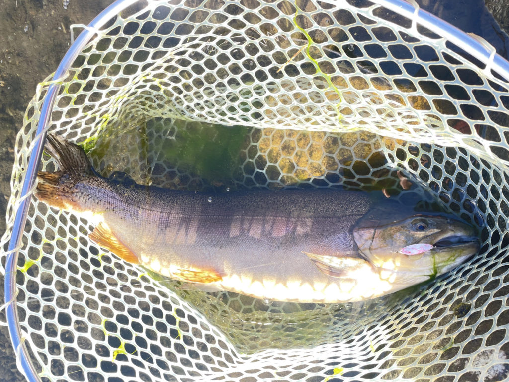 【驚ロック７０オーバー】全体