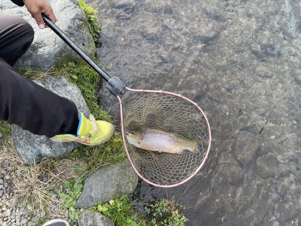 【驚ロック５４ｃｍ】全体