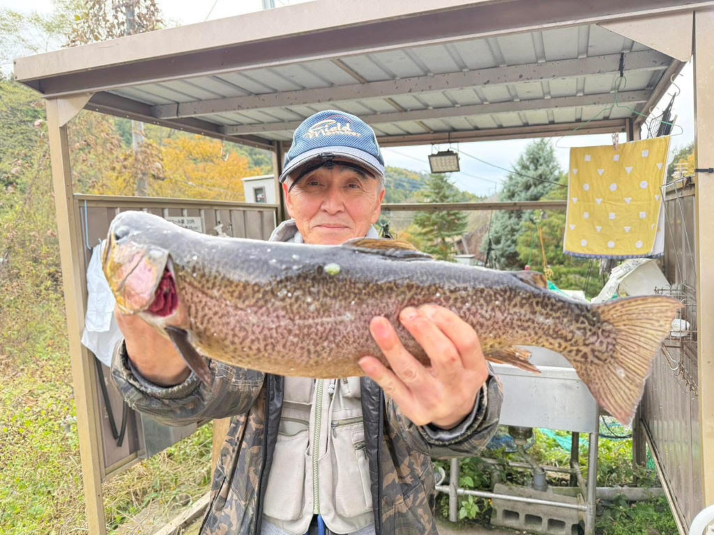 【驚ロック５０ｃｍ】全体