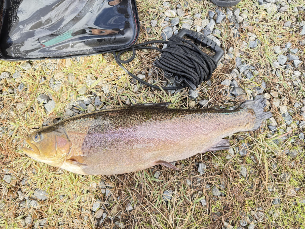 【驚ロック５２ｃｍ】全体