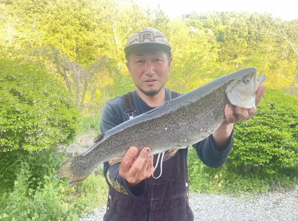 【驚ロック５２ｃｍ】全体